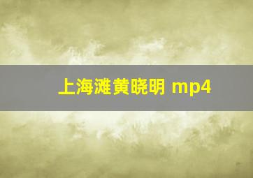 上海滩黄晓明 mp4